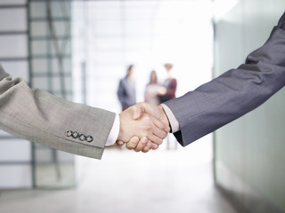 businesspeople shaking hands in office