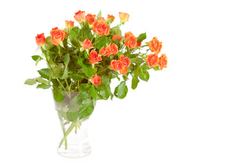 Bouquet of roses isolated on white background.