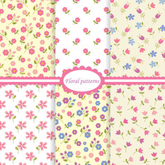 Set of flower seamless patterns