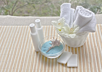composición spa