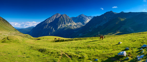 Pyrenees mountains