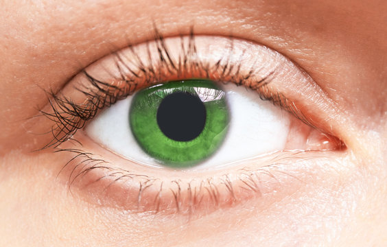 green eyes girl