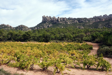 Fototapeta na wymiar Ziemia Hiszpania, Montserrat
