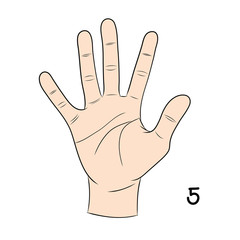 Sign language ,number 5