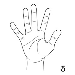 Sign language ,number 5
