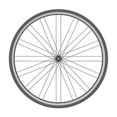bicycle wheel