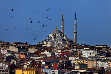 Fototapeta na wymiar The Suleymaniye mosque in the center of Istanbul city, Turkey