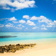 beautiful tropical beach with stove benches, Maldives