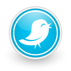 bird icon