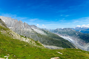 Fototapeta na wymiar Green landscape in the alps