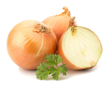Onion vegetable bulbs isolated on white background