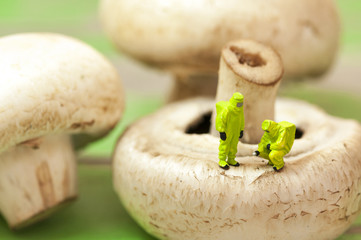 Group of people in protective suit inspecting a mushroom