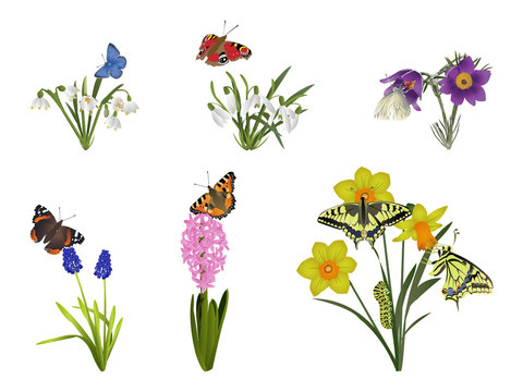 Spring nature