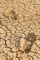 man's footprint on cracked earth / drought / river dried up