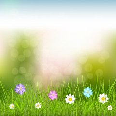 Obraz na płótnie Canvas Background with sky, grass and flowers