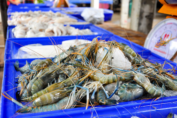 Giant malaysian prawn
