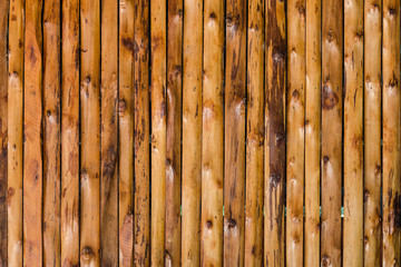 pattern detail of decorative wood texture