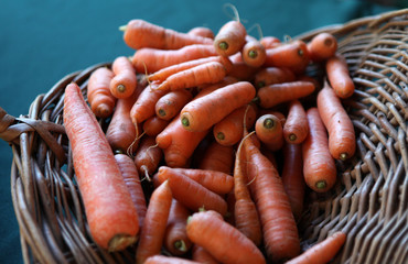 carrots in basket