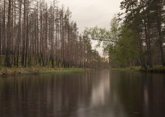 Fototapeta na wymiar River in Sweden photographed with long exposure