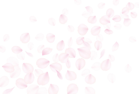 桜吹雪 の画像 354 500 件の Stock 写真 ベクターおよびビデオ Adobe Stock