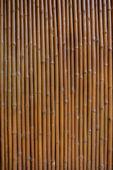 Bamboo wall background