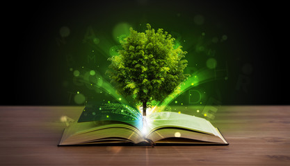 Open book with magical green tree and rays of light