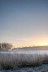 Clear blue sky and misty meadow