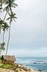 Fototapeta na wymiar sea beach with palm trees and hut