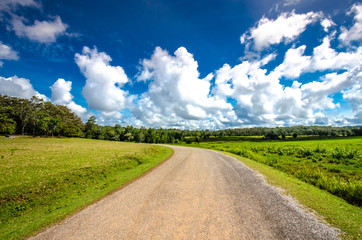 Obraz premium asphalt road through the green field and clouds on blue sky