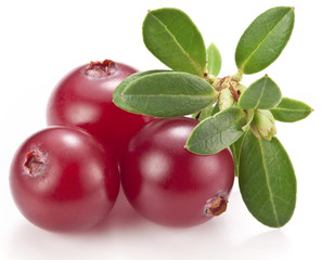 Cranberries with leaves.