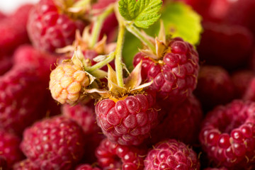 Raspberry fruit background