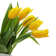 Naklejka premium Flower bouquet from yellow tulips in vase isolated on white back