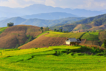 Fototapeta premium Terraced Paddy Field in Mae-Jam Village , Chaingmai Province , T