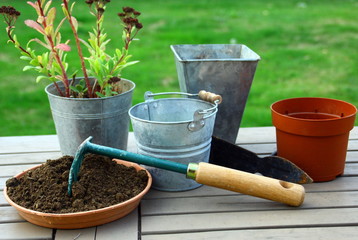 pots pour rempotage de printemps