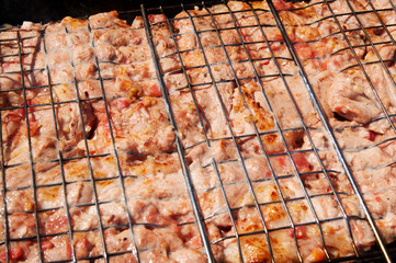 Marinated meat kebab on grill