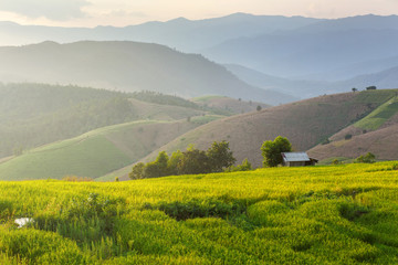 Terraced Paddy Field in Mae-Jam Village , Chaingmai Province , T