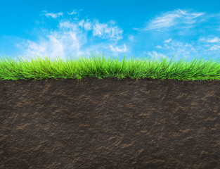 grass and soil