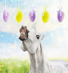 White horse runs to hanging Easter eggs on spring background