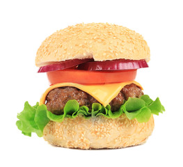 Close up of fresh hamburger.