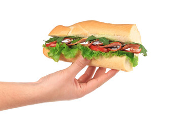 French baguette sandwich in hands.