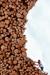 Young man climbing the large pile of cut wooden logs