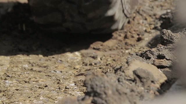 Digger shovels sand, roadworks