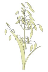 cartoon image of oat plant