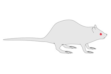 Obraz premium cartoon image of rat animal