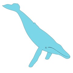 cartoon image of whale animal