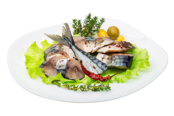 Mackerels