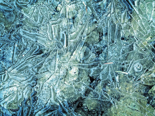 Cracked ice surface - blue and green