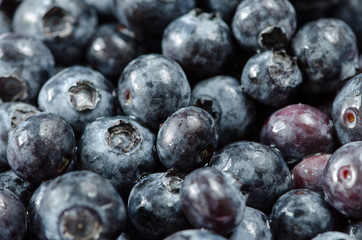 bilberries