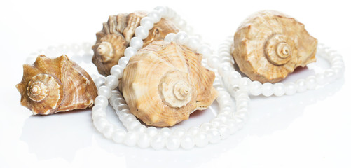 Seashell and pearl necklace