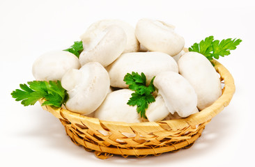 Champignon mushroom white agaricus in the basket